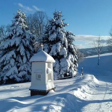 Stylová Na Kraji Národního Parku šumava Strunkov