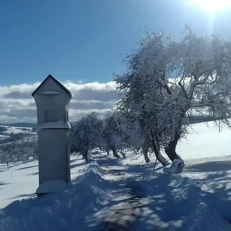 Prázdninový dům Stylová Na Kraji Národního Parku šumava *